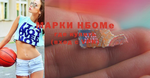 шишки Армянск