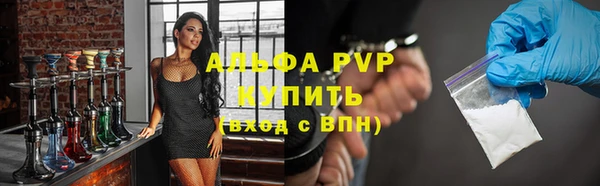 шишки Арсеньев