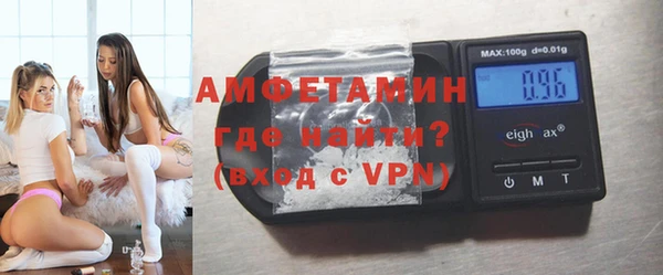 шишки Арсеньев