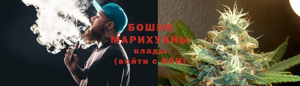 шишки Арсеньев