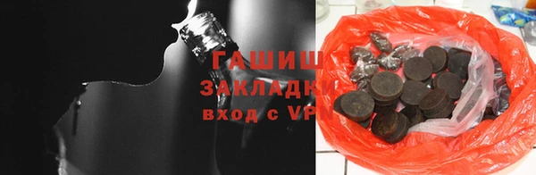 шишки Арсеньев