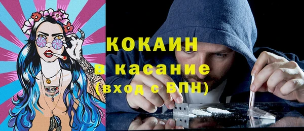 шишки Армянск