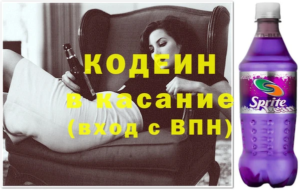 шишки Арсеньев