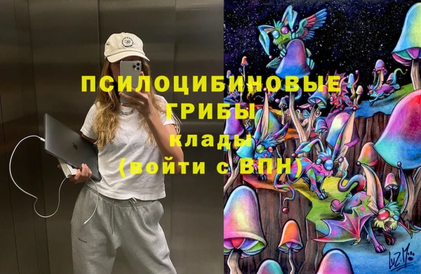 шишки Арсеньев