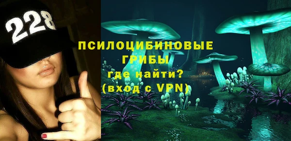 стаф Алексин