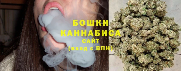 шишки Армянск