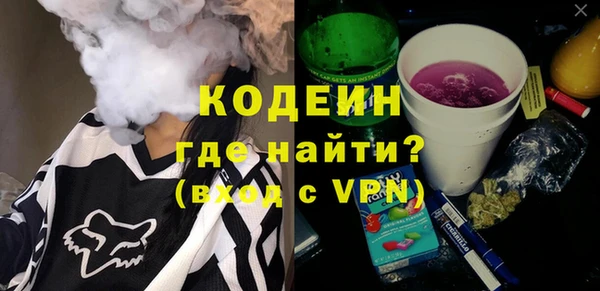 шишки Арсеньев