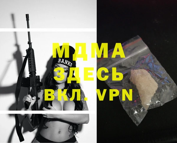 шишки Арсеньев
